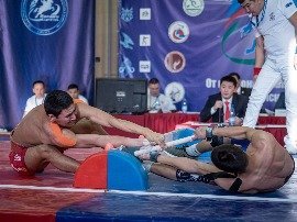 IMG_44D3F4968BF2-10.jpeg